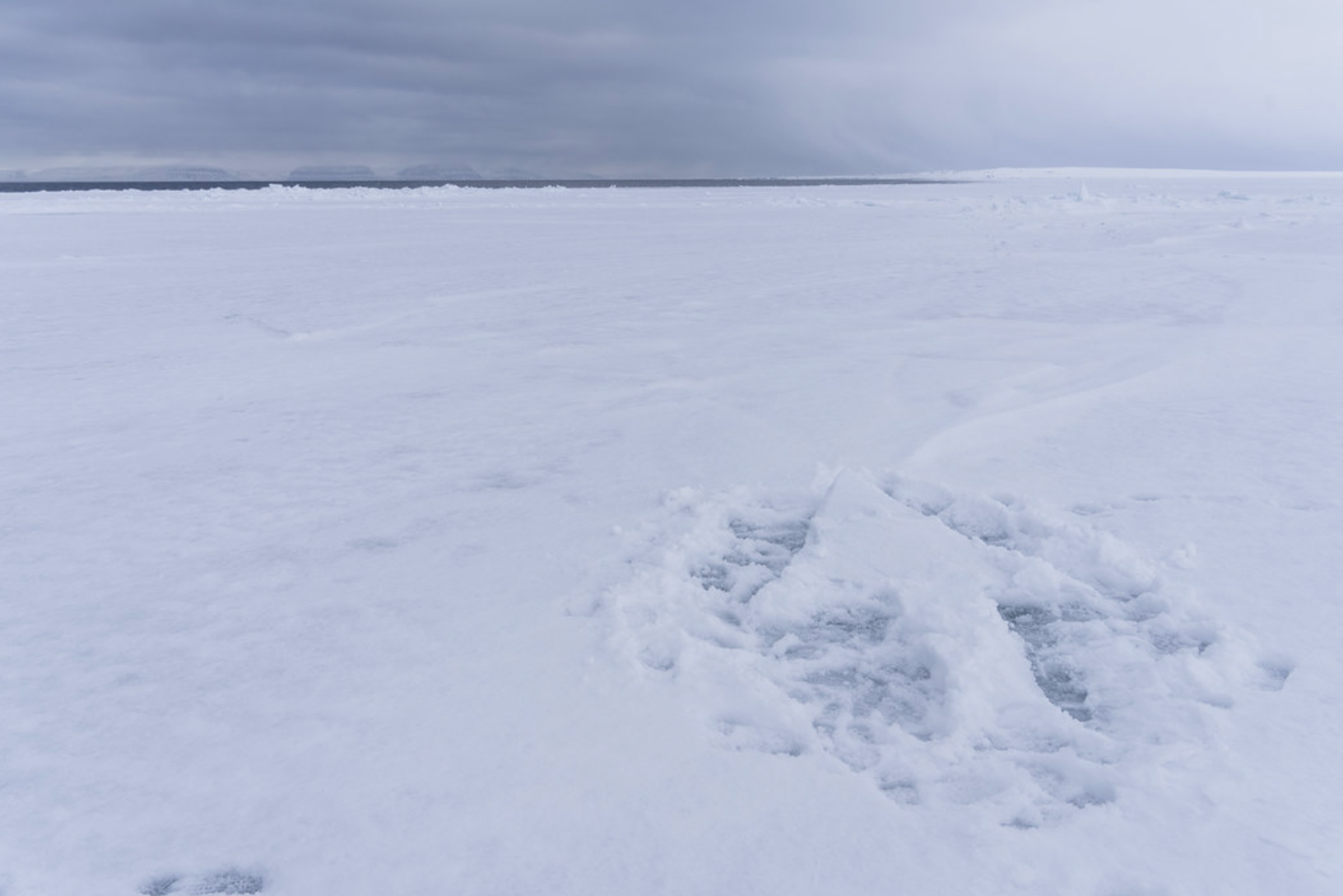 Polar Direction